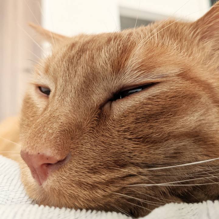 420f5fea a6a7 477d 8d86 8192281d6ed4 1654901535714