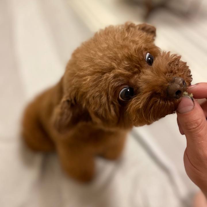 420f6529 bb01 4b35 a6ed cb8c5c8fbab3 1569368050105