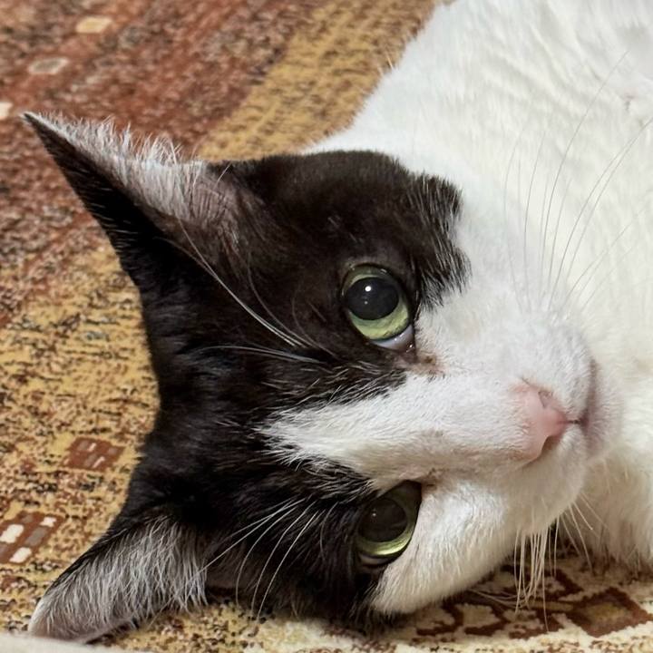 420fbfdd c7b5 4c7a ab6a 42bb49bda9cd 1760146674059