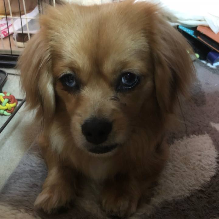 420ffd2a d103 4913 80de 90ada65df963 1519768403195