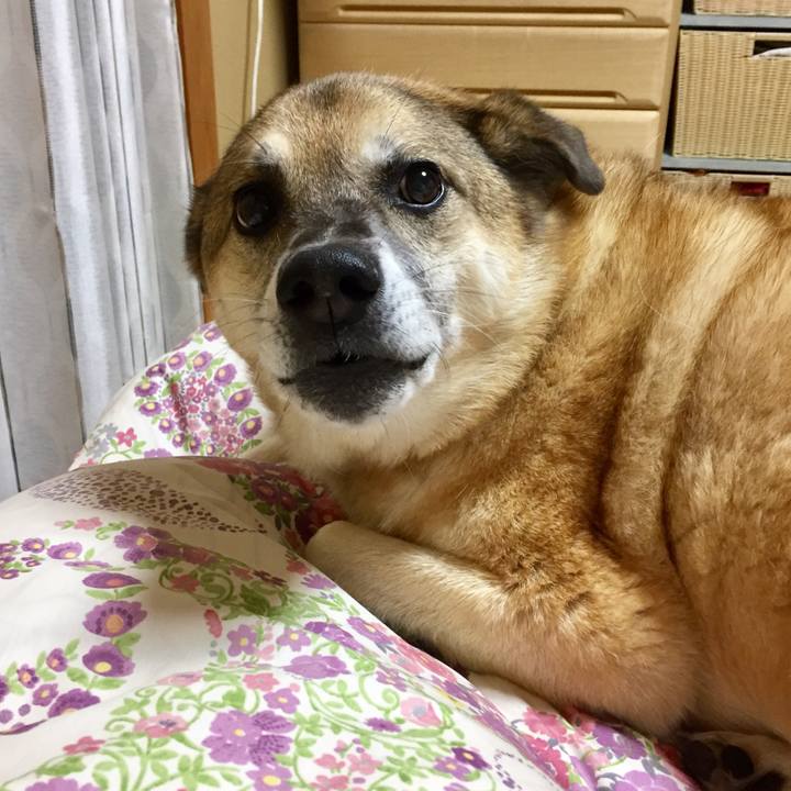 42102f9c 5c25 4766 adba 3e9c2f688505 1572954163527