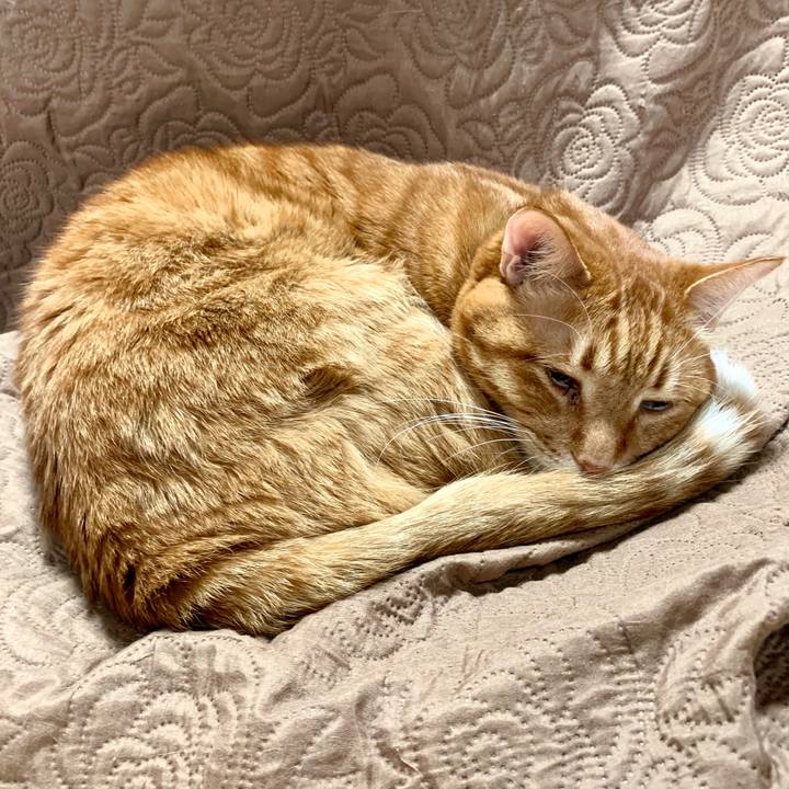 42103d18 f62e 43ef b001 ea398997304a 1579067118472