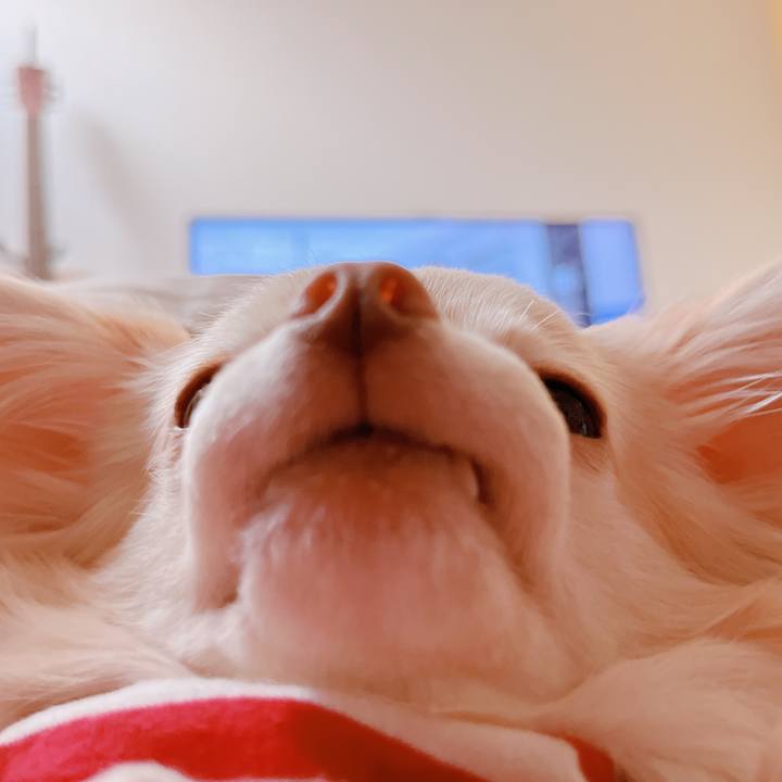 4210490f f9da 4044 8045 eb4deae3bb97 1665748591655