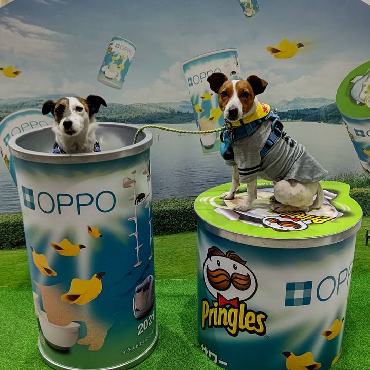 421059af 5198 47b0 932a 6d44292c30fe 1617368210956