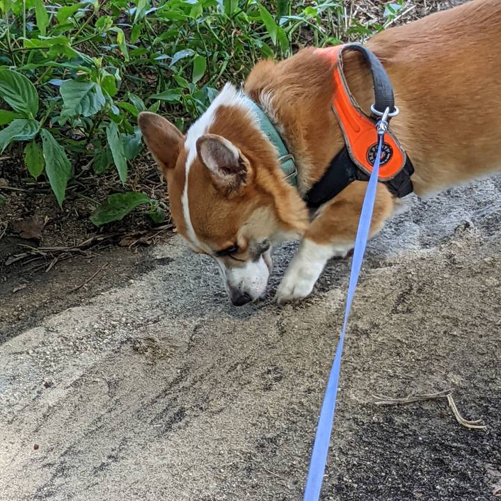 42106fc9 f171 4df6 a858 a87c7b195e13 1691720002245