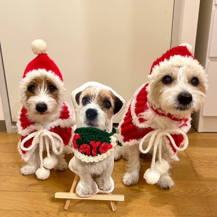 4210744e cc50 4fb9 9143 523fd8ef753d 1764768613138