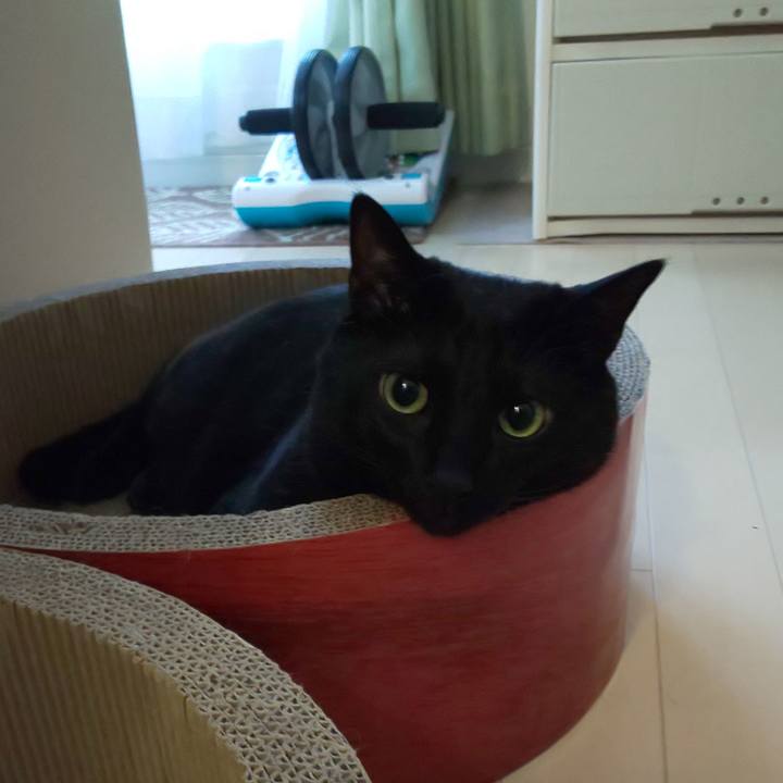 4210f228 449a 4902 99f6 b5d81b48cb3d 1558393377010