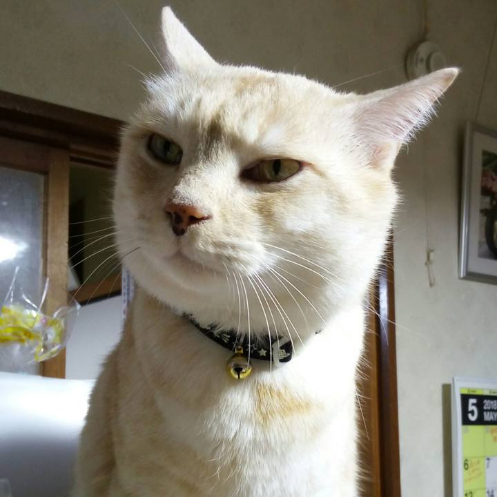 42111032 99e7 47c6 b4b1 44e17c45288c 1525654014756