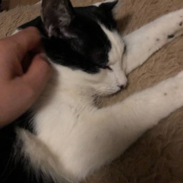 421120cb 21be 4b28 bbbd 5d0d5bfae3d0 1548342337572