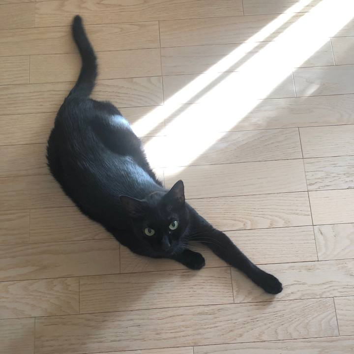 42114884 05f8 40a8 bab9 86d9a24b6580 1596803446393