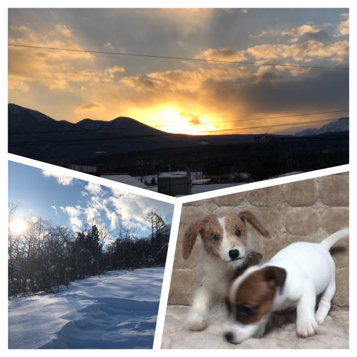 42116cd1 7578 4cd3 8b0f 9d20e189d012 1513774810325