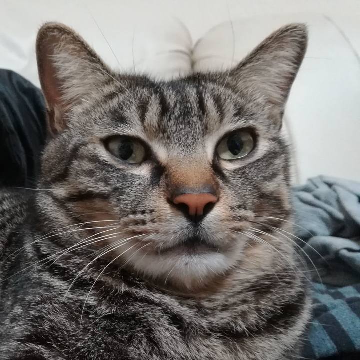 4211b7de 9ea0 4c31 bdfd 7d8b225efe24 1551614692356