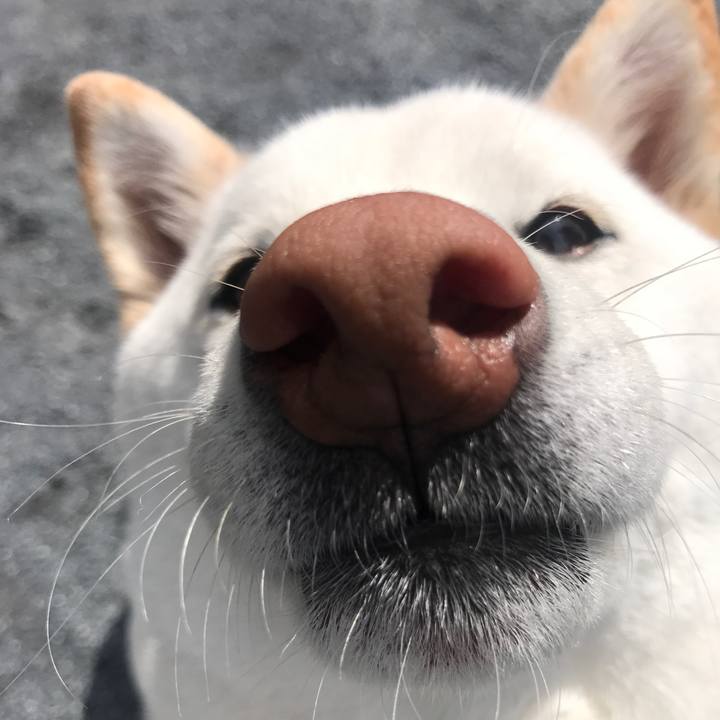 42120991 693b 40b3 850f a5b62628da7a 1521343798345