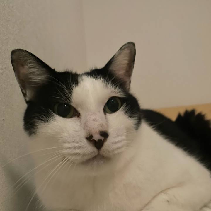 421213cb 1c4f 479f 92b0 56d43489862b 1725734166120