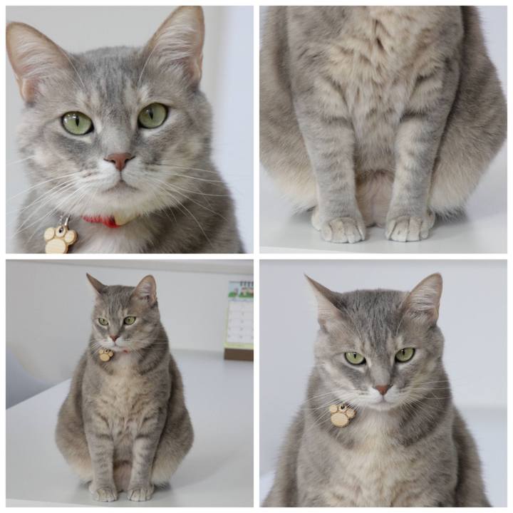 42123ec8 c1d4 4859 93ad 910c8b618dfd 1616573713901