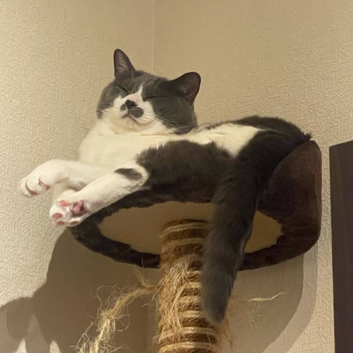 421250c2 fe0a 492a 9d49 b64b91da70a0 1752316554058