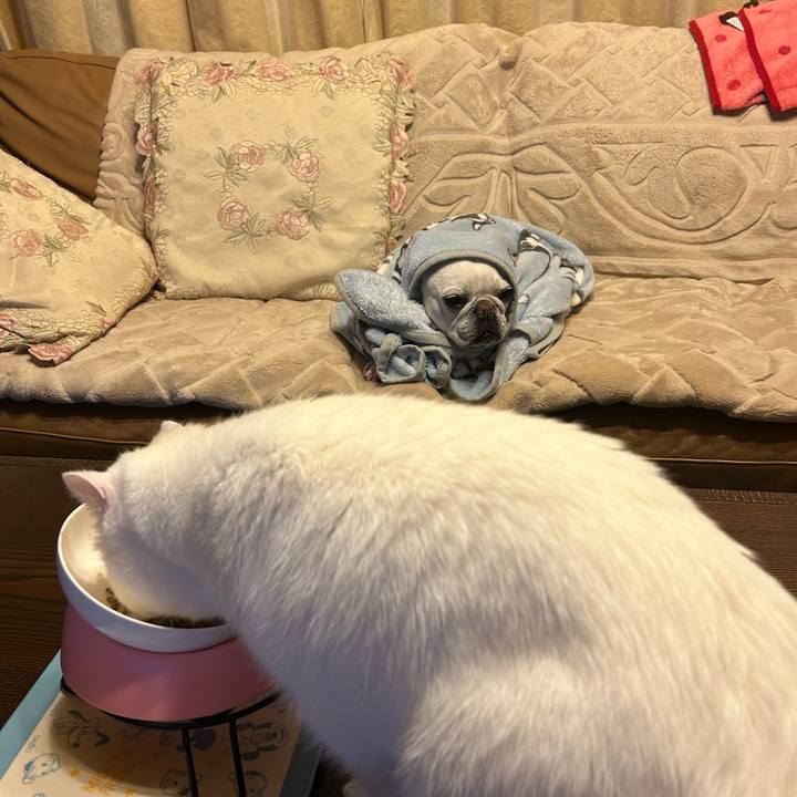 4212586f a8e6 4705 a196 0bccd743d169 1706709173214