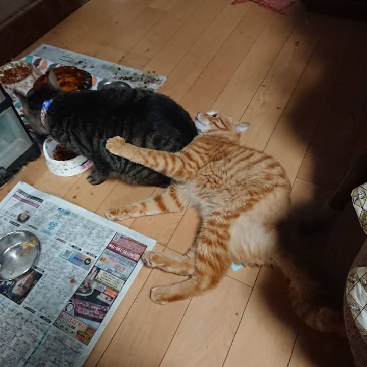 42126e83 27b3 44c4 a855 b6e640b0d518 1658264742947