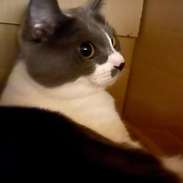 4212a7fa e22b 40f0 b5cd dfaf1740325c 1660990290738