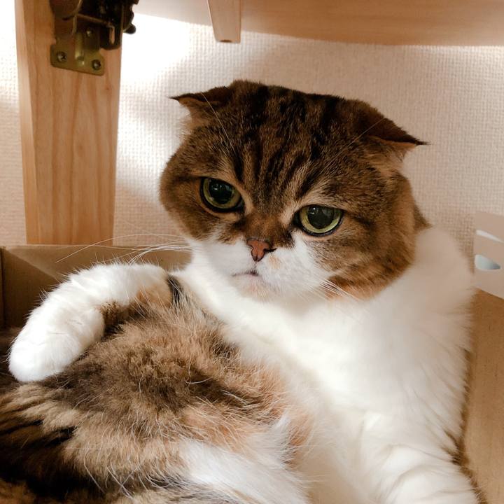 4212aff1 6098 4941 bb5c 7dffca9d87cf 1565669828699