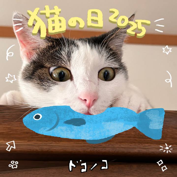 421307fd 6ab0 4317 a52f 71eecd98403f 1740142790353