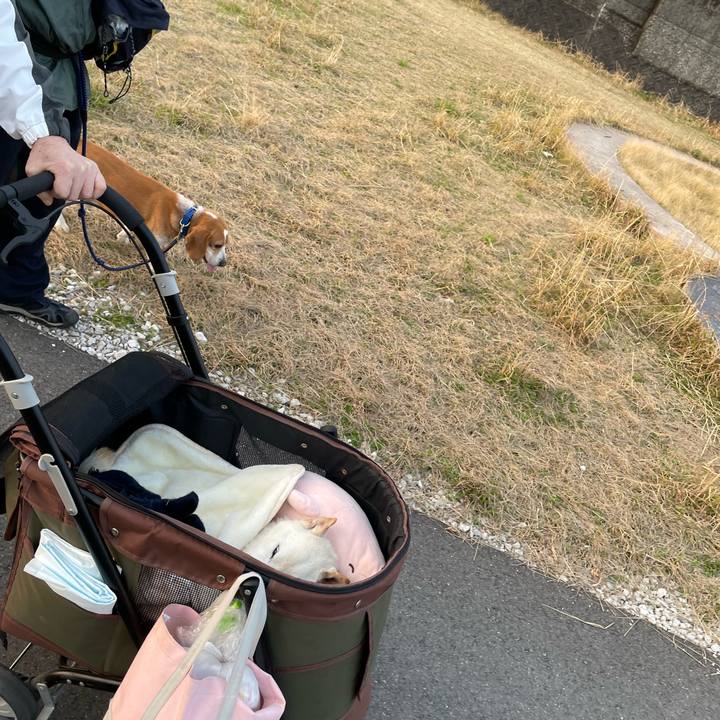 42131192 136d 4451 a827 bd2c9c51edcc 1678461512154