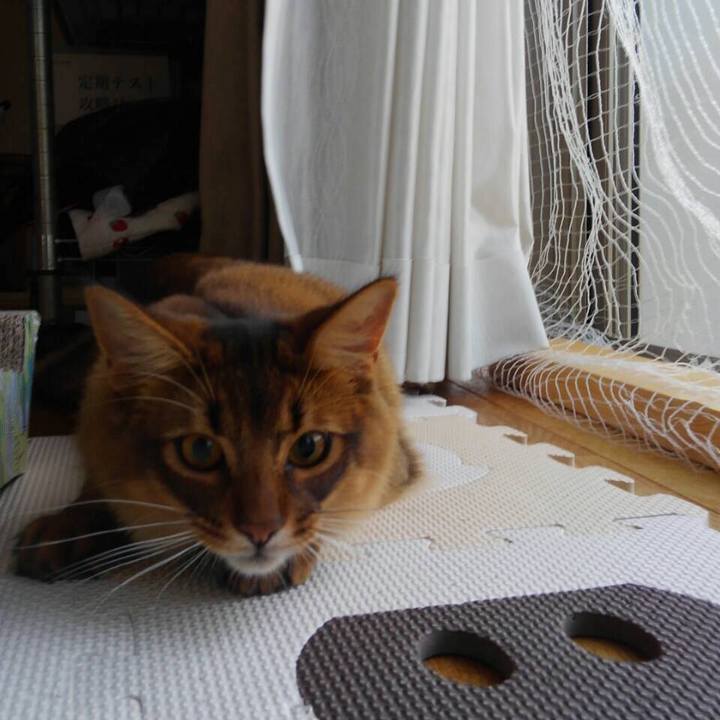 421324d7 9b5d 4d8d 807d 5eabf66db871 1592036994726