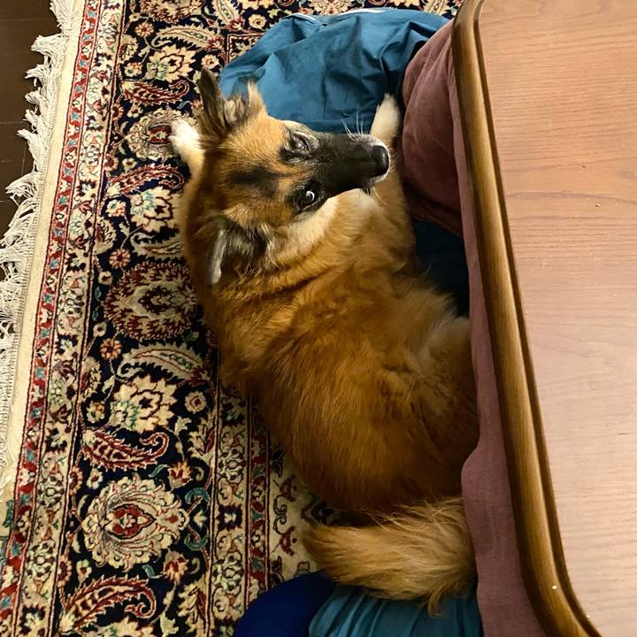 4213356d 128b 4fac 8b89 edf59cc5d594 1764582314702