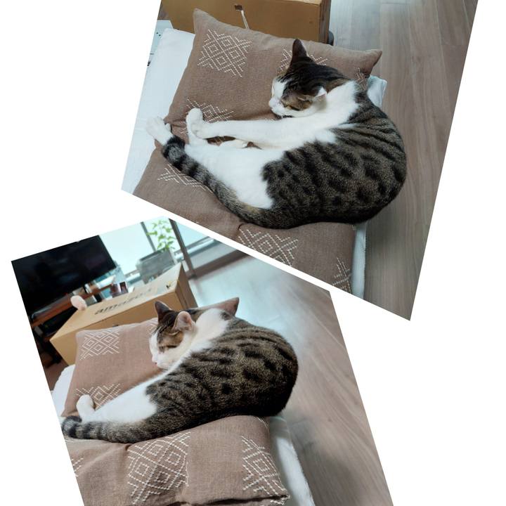 42134a16 3268 4505 8e89 1d7bea7d147f 1662679784078