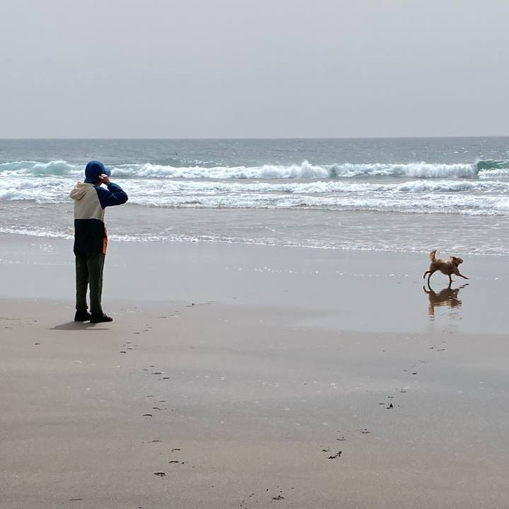 421356ef e6b2 40a9 afff 41ae7f207e32 1684749807471