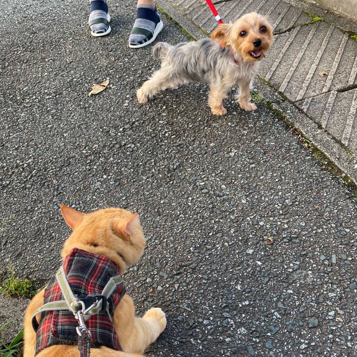 42136d7f 9bff 45ff 9ef5 75be301f3618 1596619072401