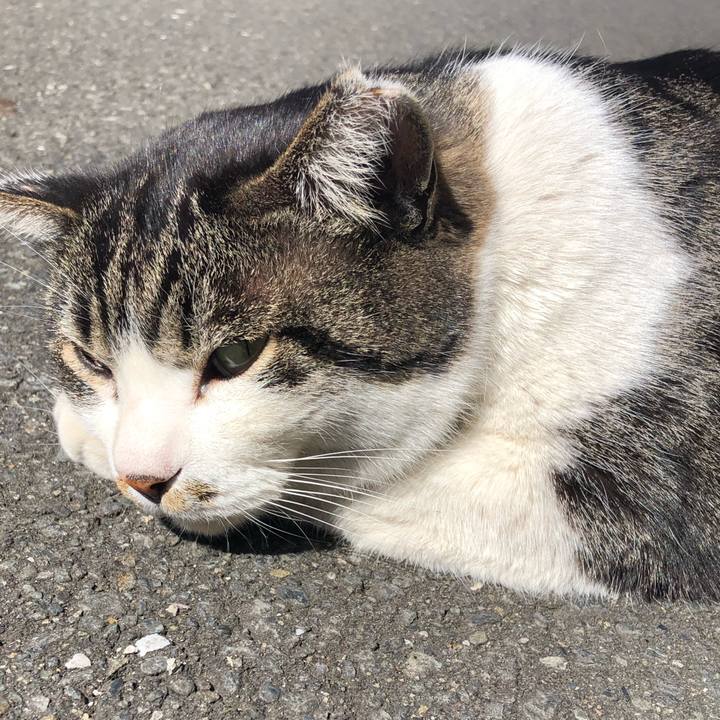 42136f81 f031 4baa 9158 f13eb707dc94 1582002937315