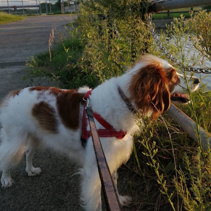 4213784b a3b3 44e9 ab4e 7a9029d8def6 1568806440124