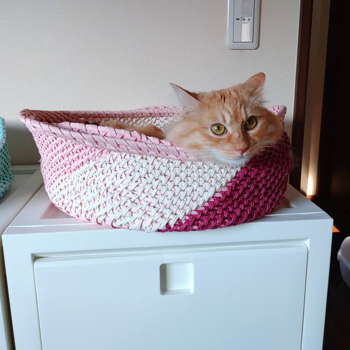 42138c94 b035 4f47 96c9 39bc75dcd8c5 1686995859408