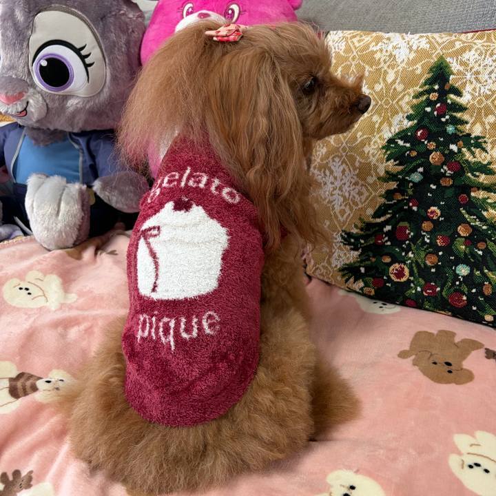 4213c670 612f 45fd af13 49c16a26a4f9 1766811092949