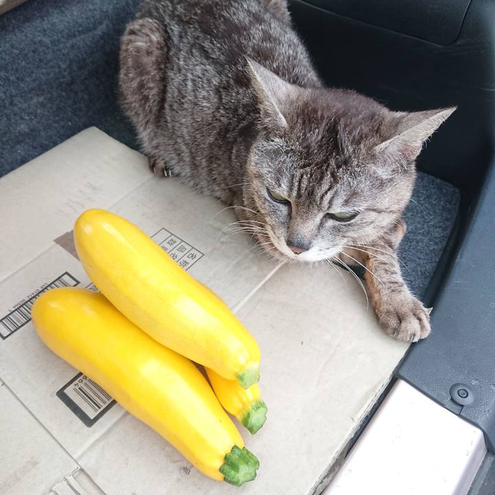 4213c901 8898 40c4 9449 355f85accfdf 1561109255723