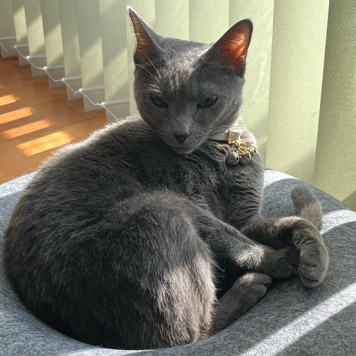 4213d05c 149f 4930 83e5 b593a0345f97 1707013071944