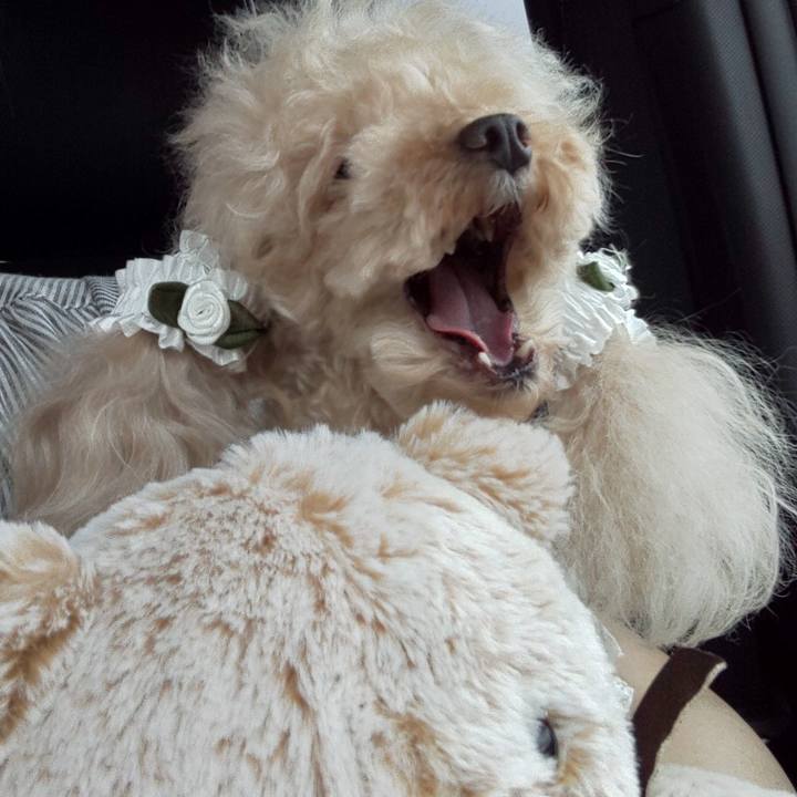 4213d8b1 dfc4 4e14 b20f 4057fb619db4 1567341093999