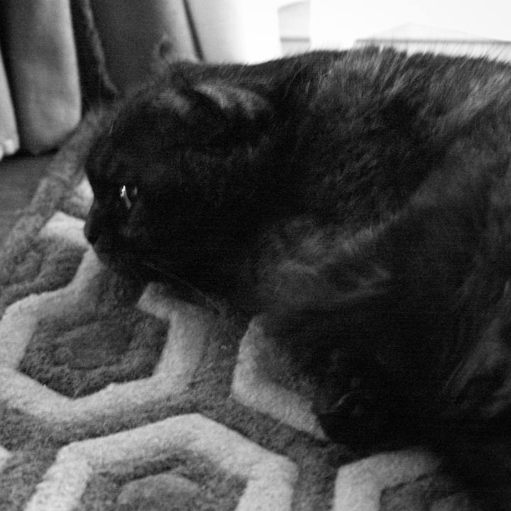 4213e272 2c0c 4998 a0a8 42c55e063cda 1568596269966