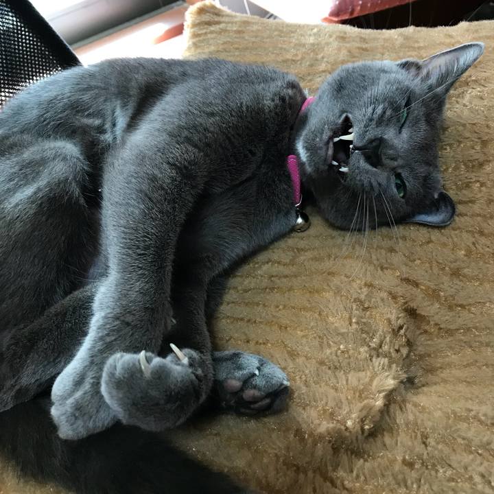 4213f753 420b 4300 a6d4 ecf6823d463d 1519566937658