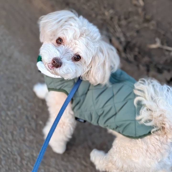 4213f75d 2919 4339 a1fa 08ac8bdf7148 1768482068616