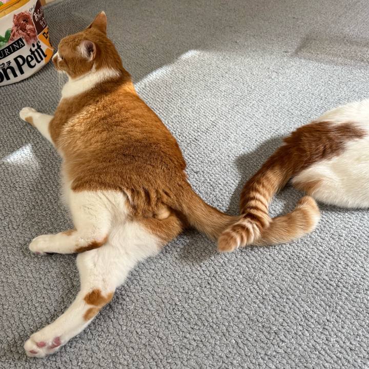 42140c16 61dd 4b0a bbf0 50e1c30a197f 1762860083510