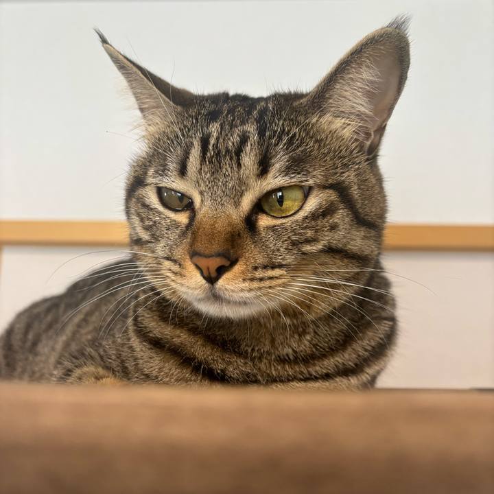 42143513 e1c9 4b59 97b4 b711028ff3fe 1759288081868