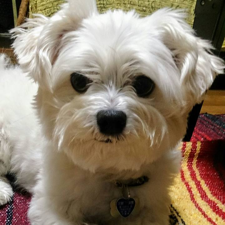 4214505c 36a2 4af8 85ef 57dc63e7b0fd 1526649551748