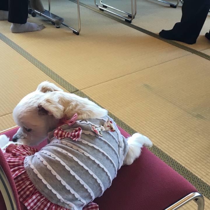 42145dcf 1ee0 407f 98f1 da0a3d1a19aa 1512096573937