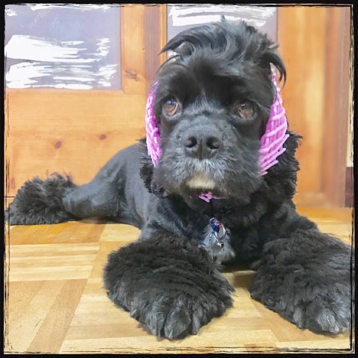 4214a434 8b1d 48a3 8b4e 1618e57cc93f 1532259513294