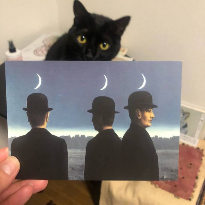 42154004 f2b3 4c5e 8a89 f07e292fedf8 1637324175148