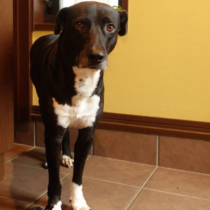 4215a370 b1e8 4f06 ac93 66490ad5b0fe 1625011219732