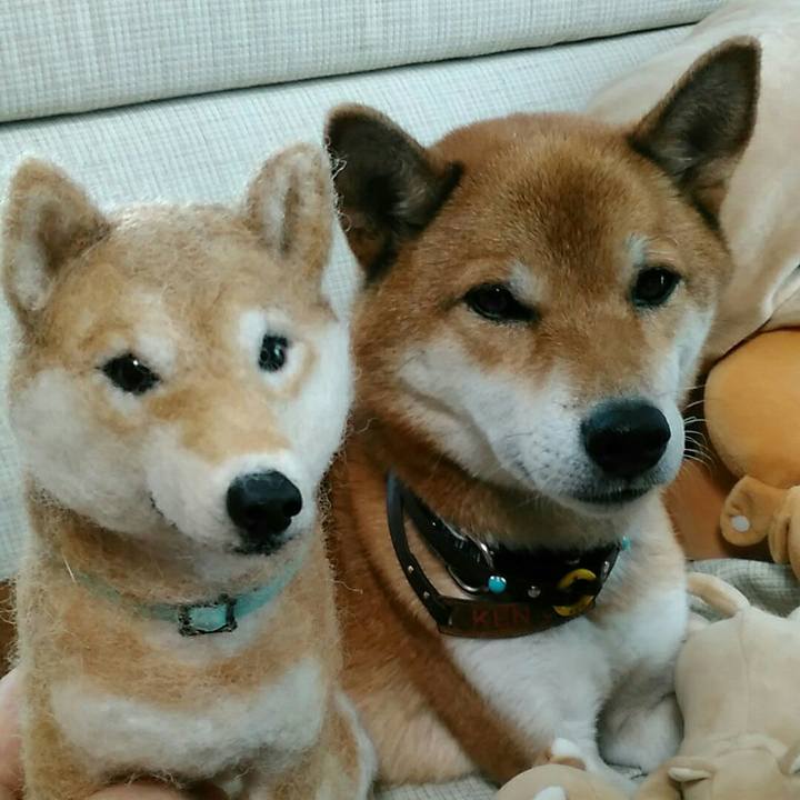 4215a56b e8c8 4cb4 b8a9 e77024e534c6 1571020876349