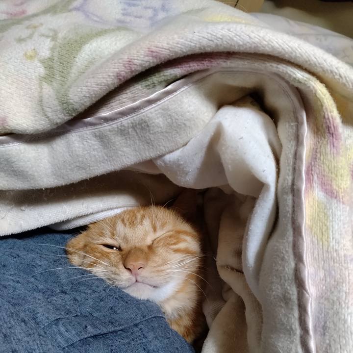 4215a6d0 a94f 4b08 b816 648b29250261 1700309984490